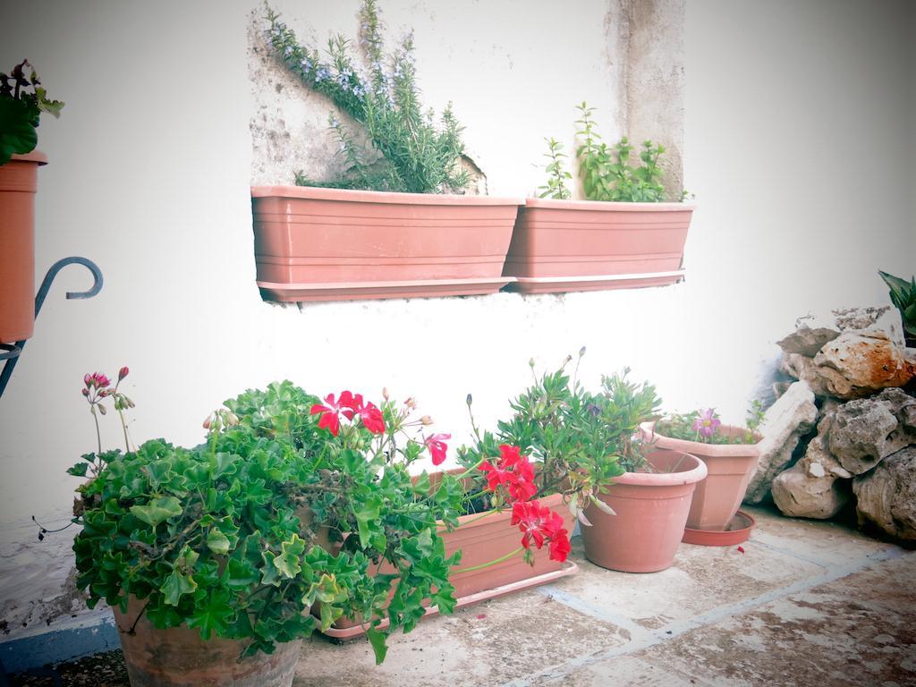 Volver B&B Lecce Eksteriør billede