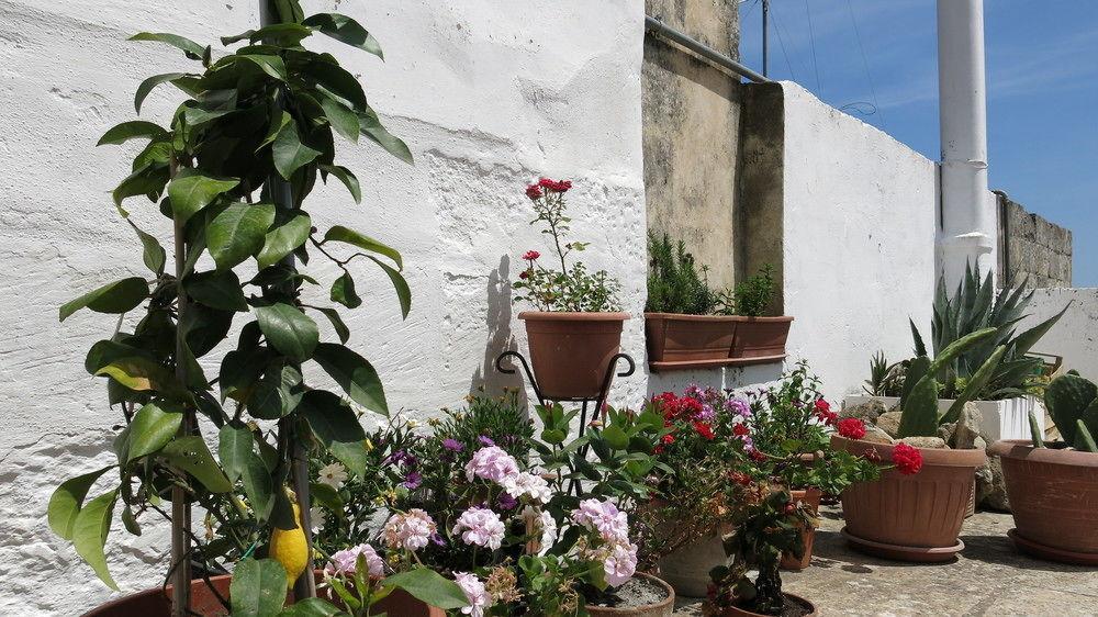 Volver B&B Lecce Eksteriør billede